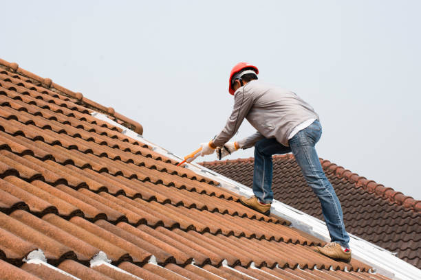 Best Emergency Roof Repair Services  in Lyford, TX
