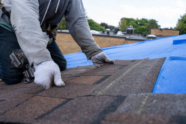 Best Storm Damage Roof Repair  in Lyford, TX