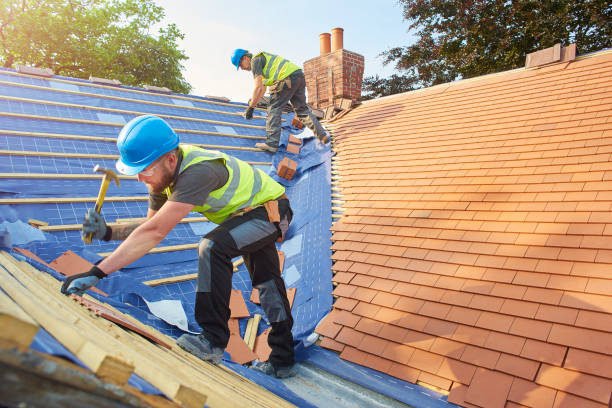 Best Cold Roofs  in Lyford, TX